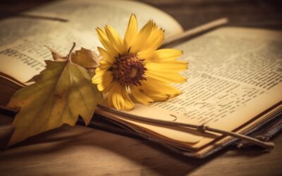 Metaphors in Poetry